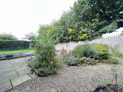 Picture 13